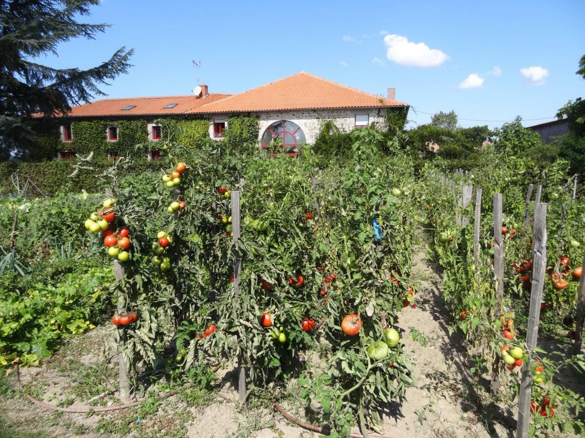 Отель La Ferme De Rouffignac Blanzac  Экстерьер фото